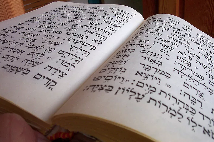 The Hebrew Bible and its Reading Schedule