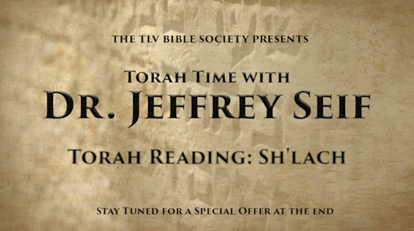 Torah Time: Sh'lach