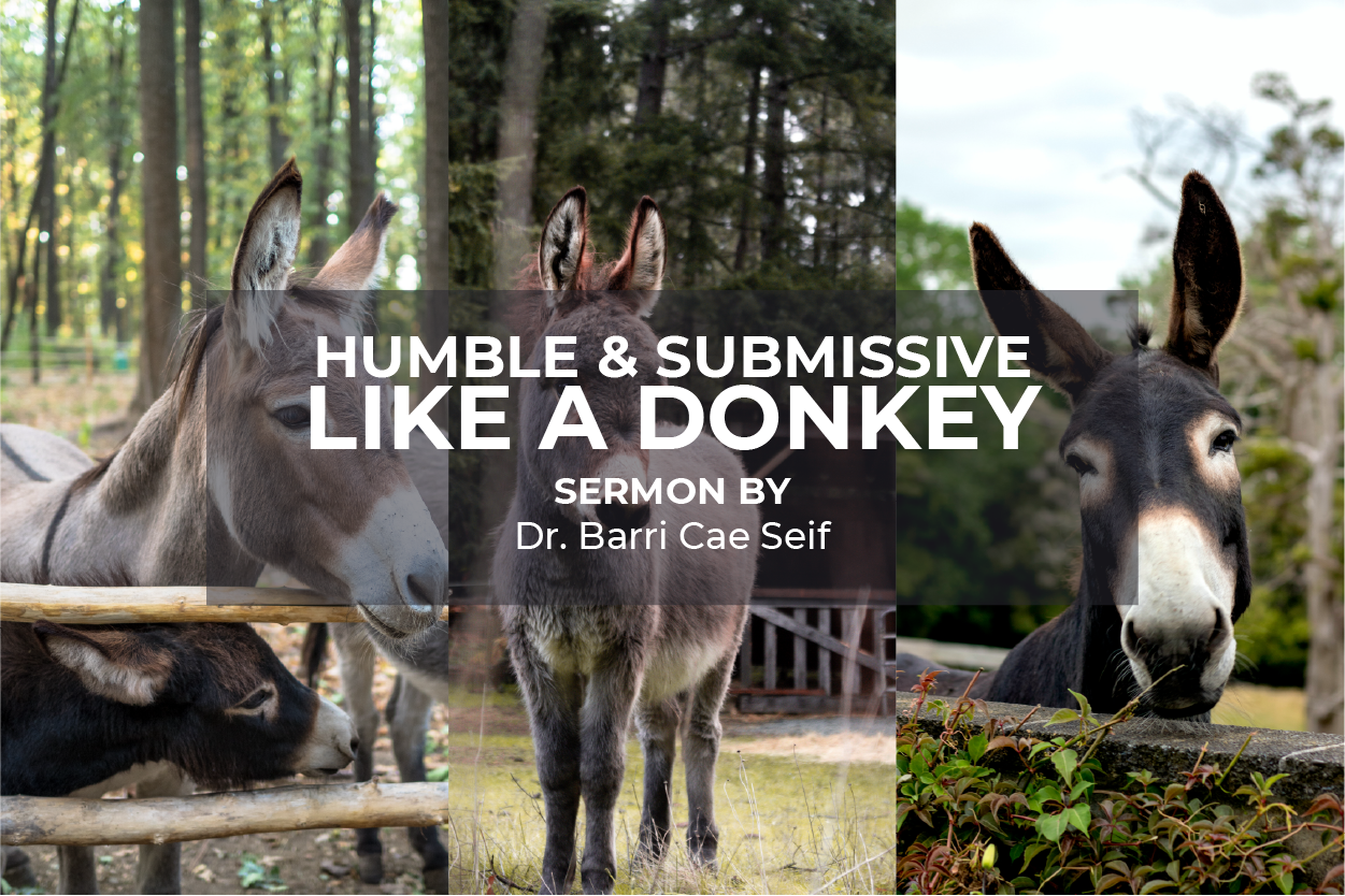 "Humble and Submissive Like a Donkey"